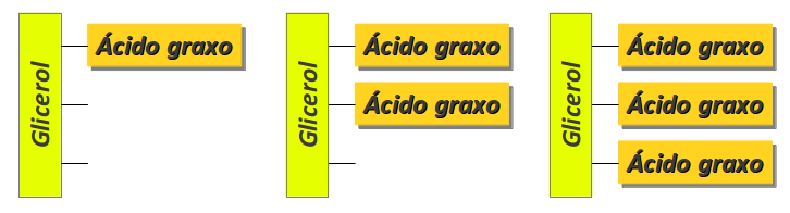 acilglicerídeos