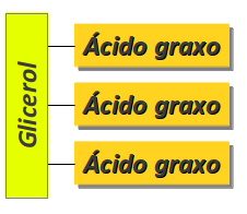 triglicerídeo