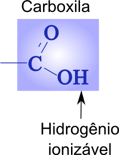 Caroxila
