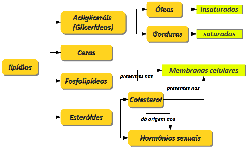 resumo